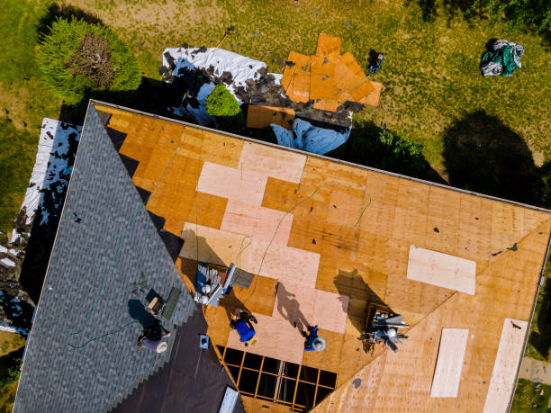 Best Emergency Roof Repair  in Hamilton, TX